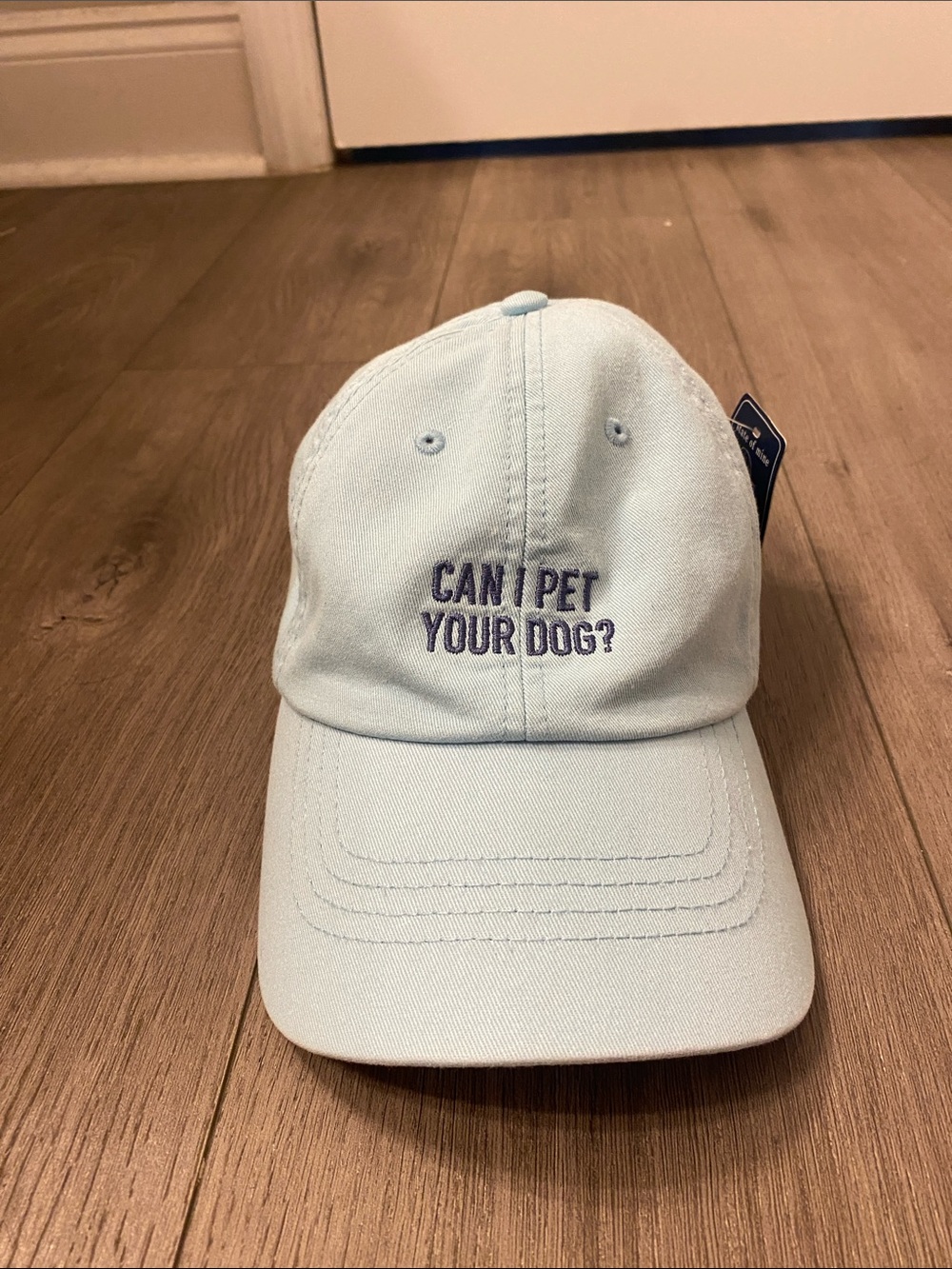 NWT Light Blue 'Can I Pet Your Dog?' Embroidered Baseball Cap